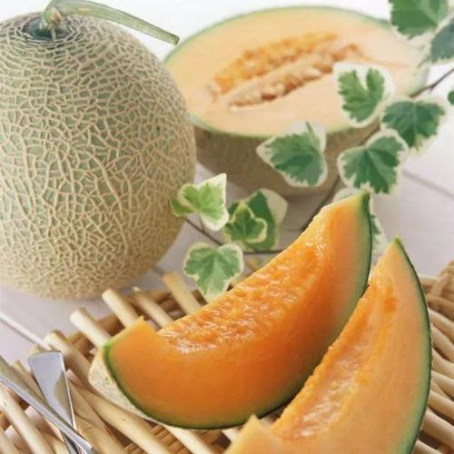成都哈密瓜今日价,价格实惠抢购中！