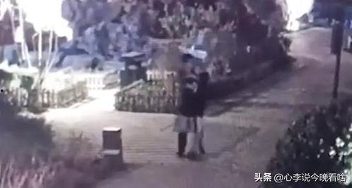今日辛集吃瓜视频曝光,揭秘背后惊人真相！