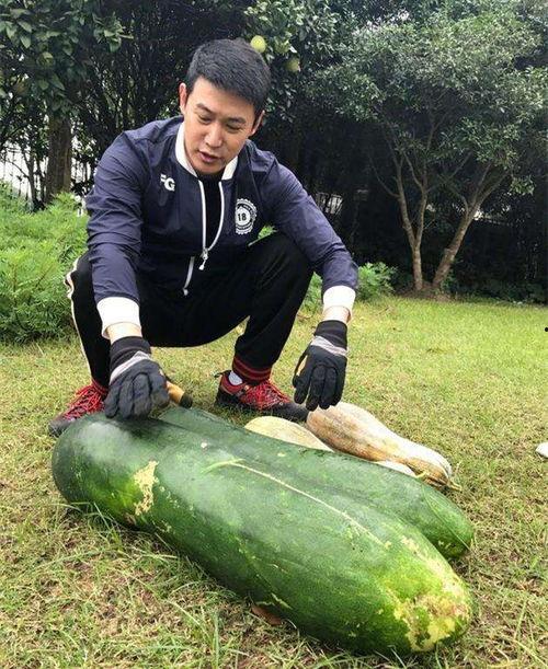 庄寨吃瓜最新事件爆料,最新事件爆料揭秘幕后真相