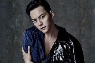 始祖鸟明星网红,从平凡到闪耀的蜕变之路