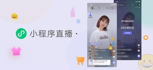 今日瓜州新闻直播视频,聚焦城市发展，展现民生变迁