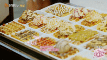 明星网红景点美食视频,明星同款美食之旅