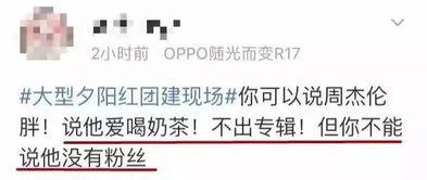 校园圈吃瓜爆料文案怎么写,揭秘校园那些不为人知的秘密