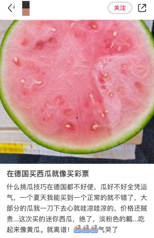 今日开启吃瓜模式了吗,全民吃瓜狂欢，热点事件盘点