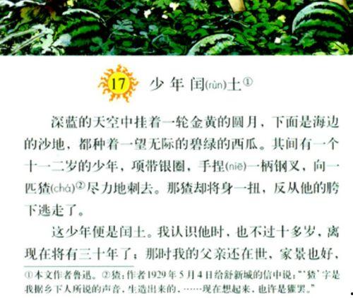 明星网红被写入课本,明星网红走进课本，文化传承新篇章