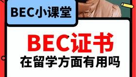吃瓜爆料免费观看视频大全