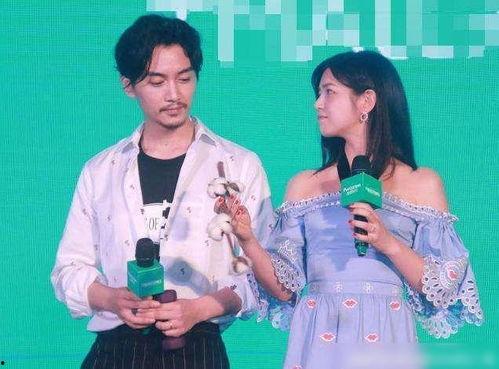 吃瓜爆料刘亦菲陈晓,吃瓜群众热议恋情真相