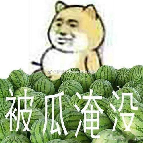 吃瓜黑料反51cn,吃瓜黑料背后的真相与反思