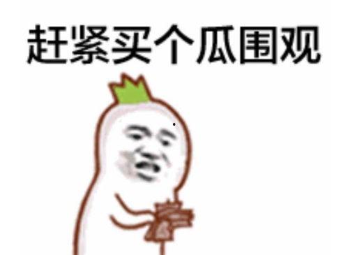 五一朝阳网热门吃瓜群众,热门吃瓜群众热议焦点大盘点