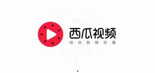 后山瓜林今日头条,探寻乡村田园新风尚，体验采摘乐趣