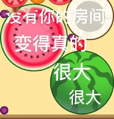 今日摘瓜文案怎么写好,解锁瓜界新潮流，尽享夏日清凉时光