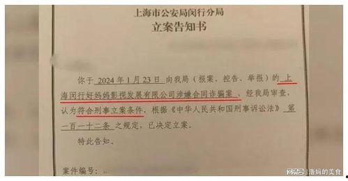 明星网红纳税前几名,揭秘纳税前几名风云人物
