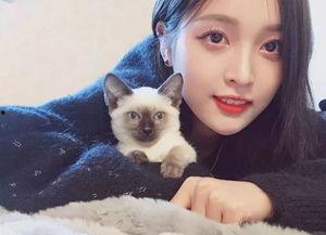 老猫明星网红视频,揭秘明星网红背后的生活点滴