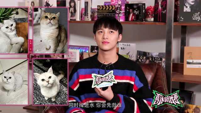 各路明星网红推荐视频,必看爆款清单大公开！